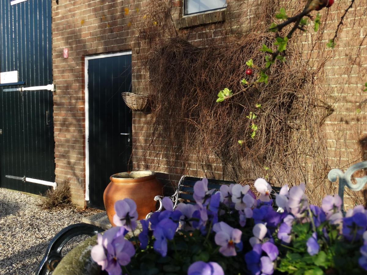 B&B Droom In De Polder -De Salon- Luxe Appartement Met Prive-Sauna Arnemuiden Exterior foto
